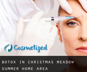 Botox in Christmas Meadow Summer Home Area