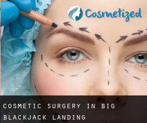 Cosmetic Surgery in Big Blackjack Landing