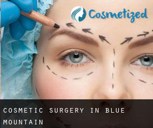 Cosmetic Surgery in Blue Mountain
