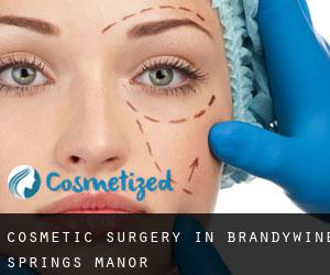 Cosmetic Surgery in Brandywine Springs Manor
