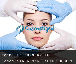 Cosmetic Surgery in Canandaigua Manufactured Home Community