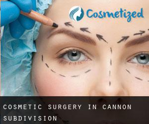 Cosmetic Surgery in Cannon Subdivision