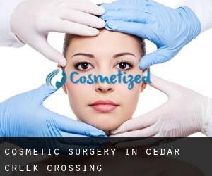 Cosmetic Surgery in Cedar Creek Crossing