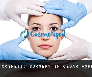 Cosmetic Surgery in Cedar Fork