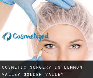 Cosmetic Surgery in Lemmon Valley-Golden Valley