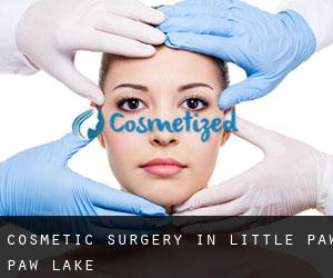 Cosmetic Surgery in Little Paw Paw Lake