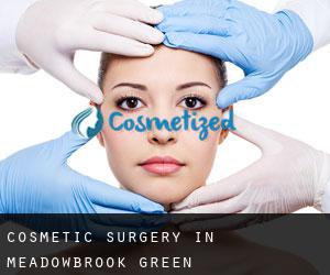 Cosmetic Surgery in Meadowbrook Green