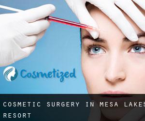 Cosmetic Surgery in Mesa Lakes Resort