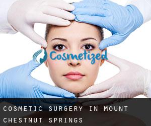 Cosmetic Surgery in Mount Chestnut Springs