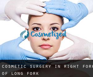 Cosmetic Surgery in Right Fork of Long Fork