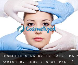 Cosmetic Surgery in Saint Mary Parish by county seat - page 1