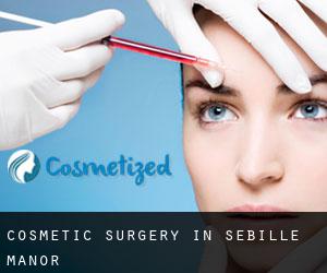 Cosmetic Surgery in Sebille Manor
