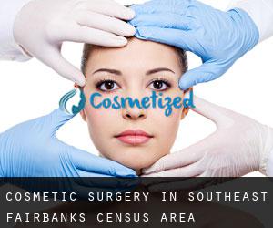 Cosmetic Surgery in Southeast Fairbanks Census Area