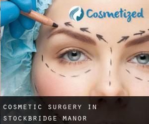 Cosmetic Surgery in Stockbridge Manor