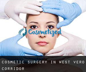 Cosmetic Surgery in West Vero Corridor