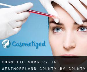 Cosmetic Surgery in Westmoreland County by county seat - page 2