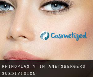 Rhinoplasty in Anetsberger's Subdivision