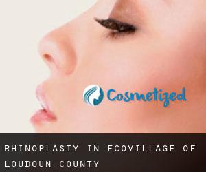Rhinoplasty in EcoVillage of Loudoun County