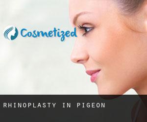 Rhinoplasty in Pigeon