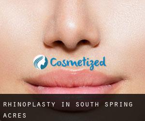 Rhinoplasty in South Spring Acres