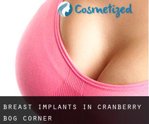 Breast Implants in Cranberry Bog Corner