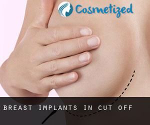 Breast Implants in Cut Off