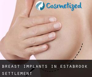 Breast Implants in Estabrook Settlement