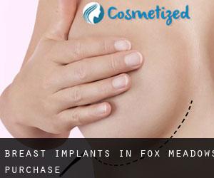 Breast Implants in Fox Meadows Purchase