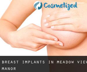 Breast Implants in Meadow View Manor