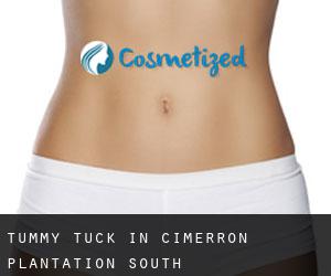 Tummy Tuck in Cimerron Plantation South