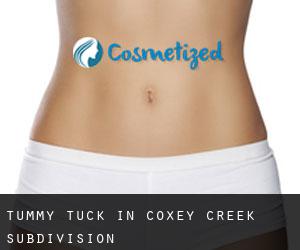 Tummy Tuck in Coxey Creek Subdivision