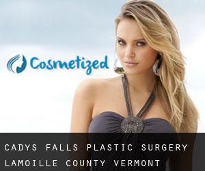Cadys Falls plastic surgery (Lamoille County, Vermont)