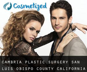 Cambria plastic surgery (San Luis Obispo County, California)