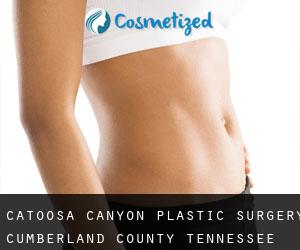 Catoosa Canyon plastic surgery (Cumberland County, Tennessee)