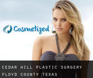 Cedar Hill plastic surgery (Floyd County, Texas)