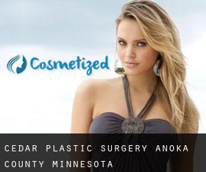 Cedar plastic surgery (Anoka County, Minnesota)