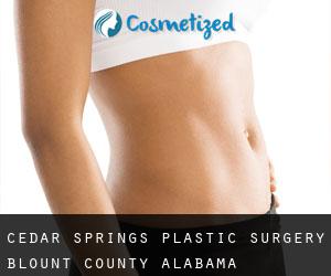 Cedar Springs plastic surgery (Blount County, Alabama)