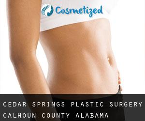 Cedar Springs plastic surgery (Calhoun County, Alabama)