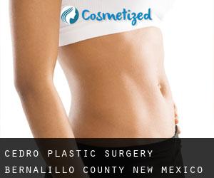 Cedro plastic surgery (Bernalillo County, New Mexico)