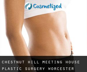 Chestnut Hill Meeting House plastic surgery (Worcester County, Massachusetts)