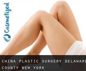 China plastic surgery (Delaware County, New York)