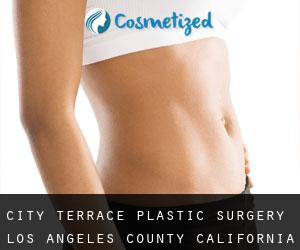 City Terrace plastic surgery (Los Angeles County, California)