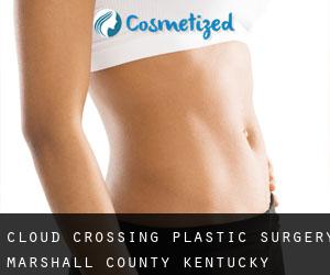 Cloud Crossing plastic surgery (Marshall County, Kentucky)