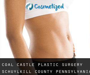 Coal Castle plastic surgery (Schuylkill County, Pennsylvania)