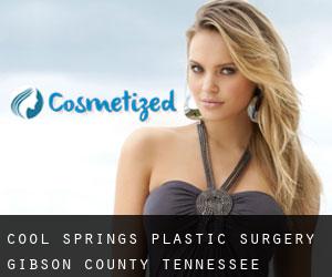 Cool Springs plastic surgery (Gibson County, Tennessee)