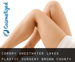 Cordry Sweetwater Lakes plastic surgery (Brown County, Indiana)