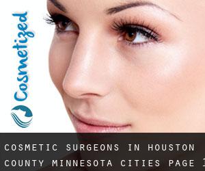 cosmetic surgeons in Houston County Minnesota (Cities) - page 1