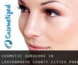 cosmetic surgeons in Leavenworth County (Cities) - page 1