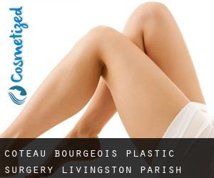 Coteau Bourgeois plastic surgery (Livingston Parish, Louisiana)