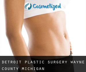 Detroit plastic surgery (Wayne County, Michigan)